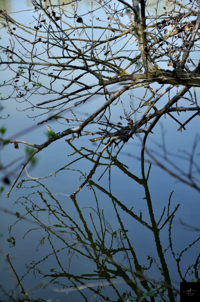 Riflessi